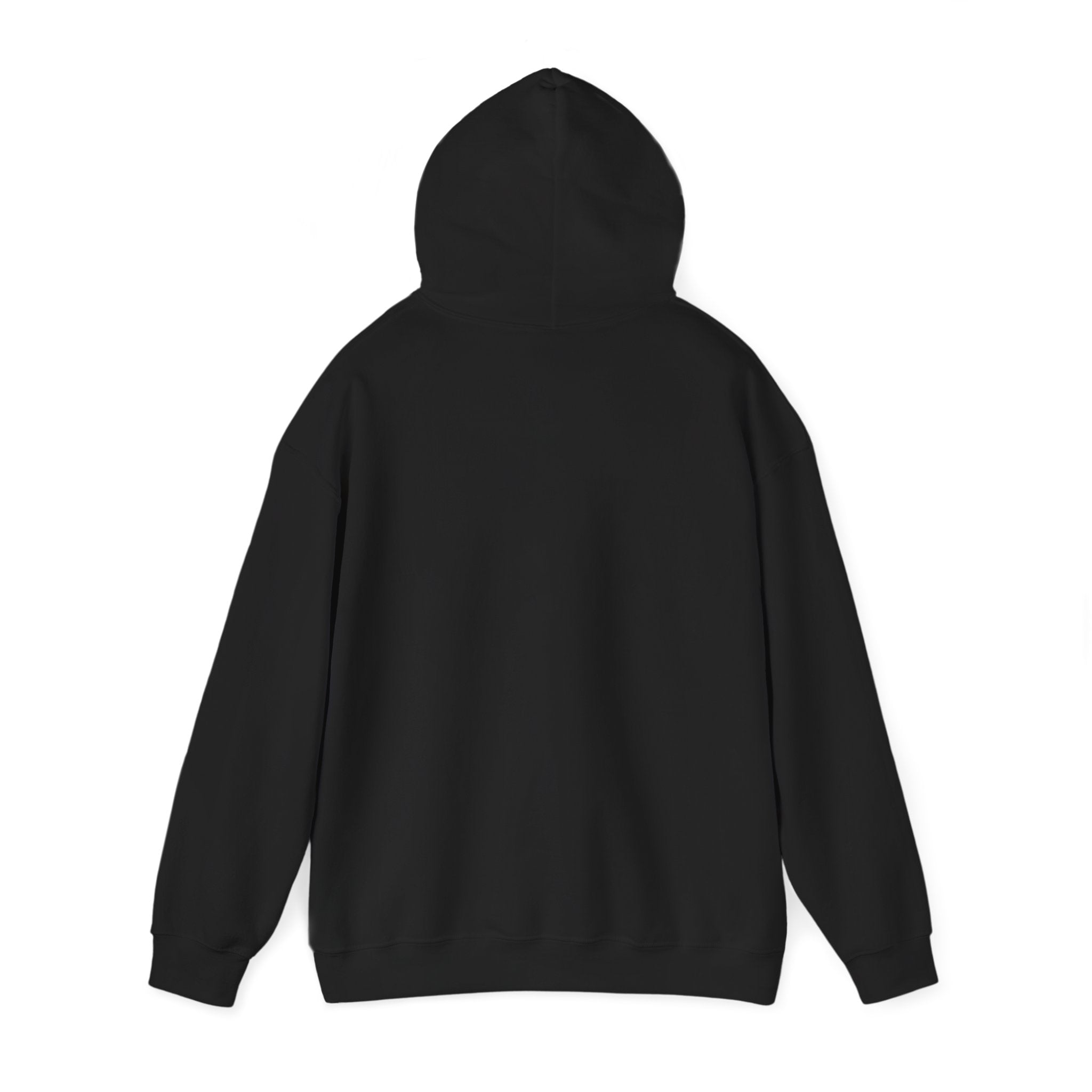 Cozy Feral Cat Hoodie | feral era, chaotic cute