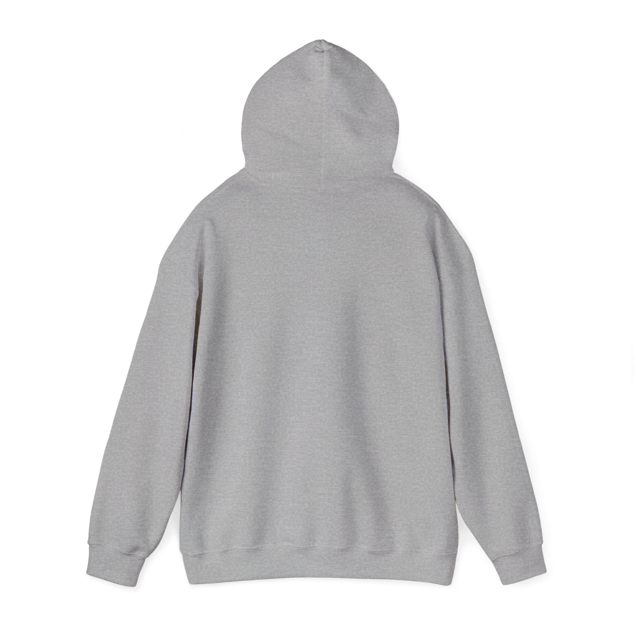 Cozy Feral Cat Hoodie | feral era, chaotic cute