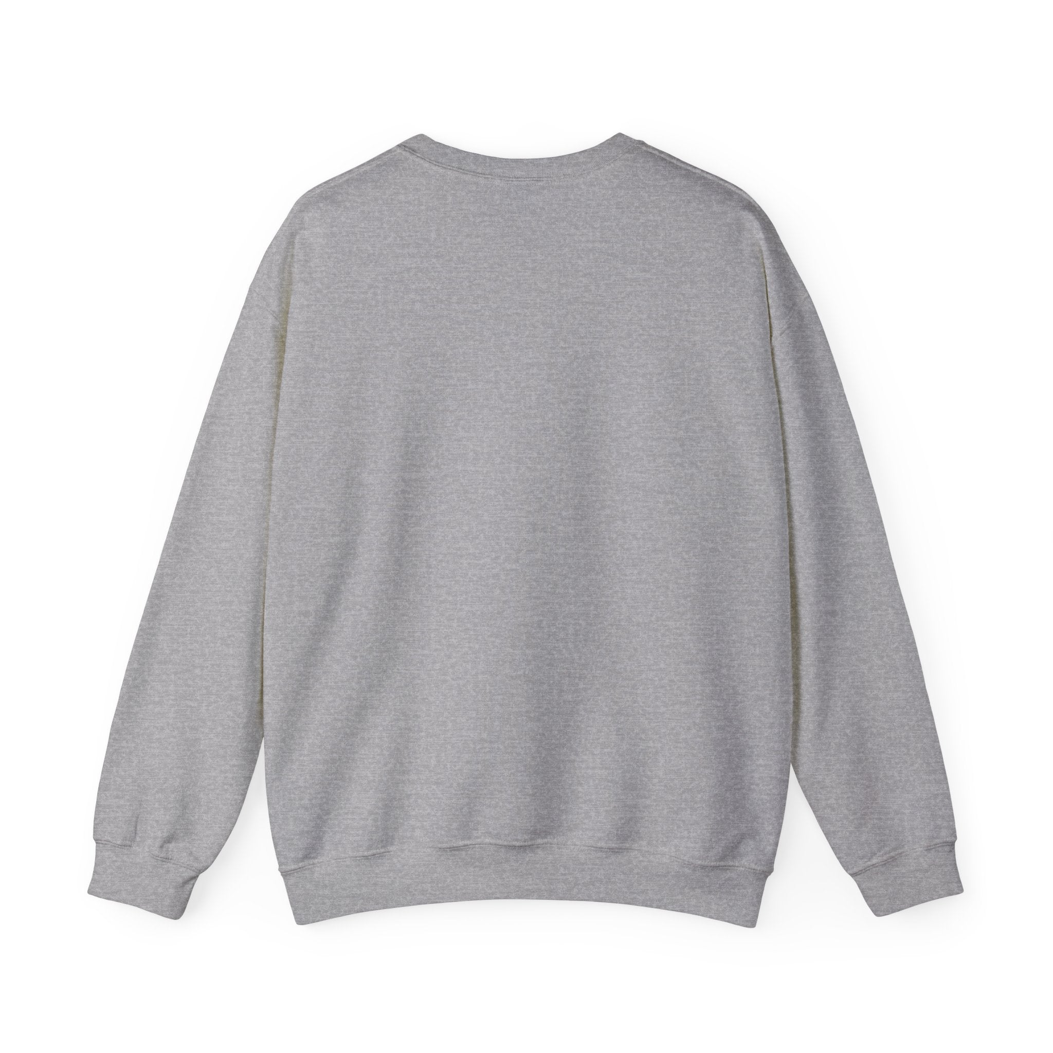 8647 Political Typography Crewneck, stencil distressed civic expression sweatshirt