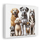 Popular Dog Breeds Canvas Gallery Wraps