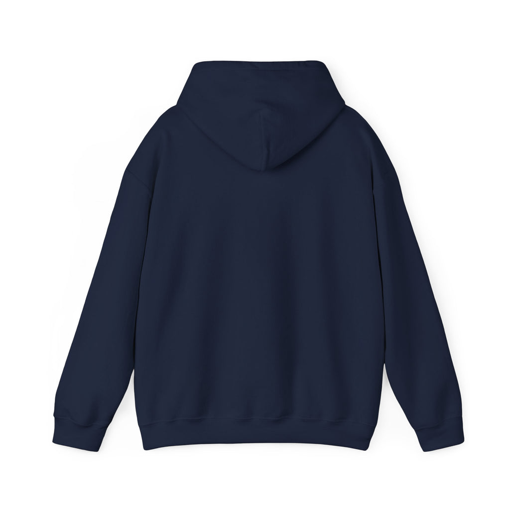 Cozy Feral Cat Hoodie | feral era, chaotic cute