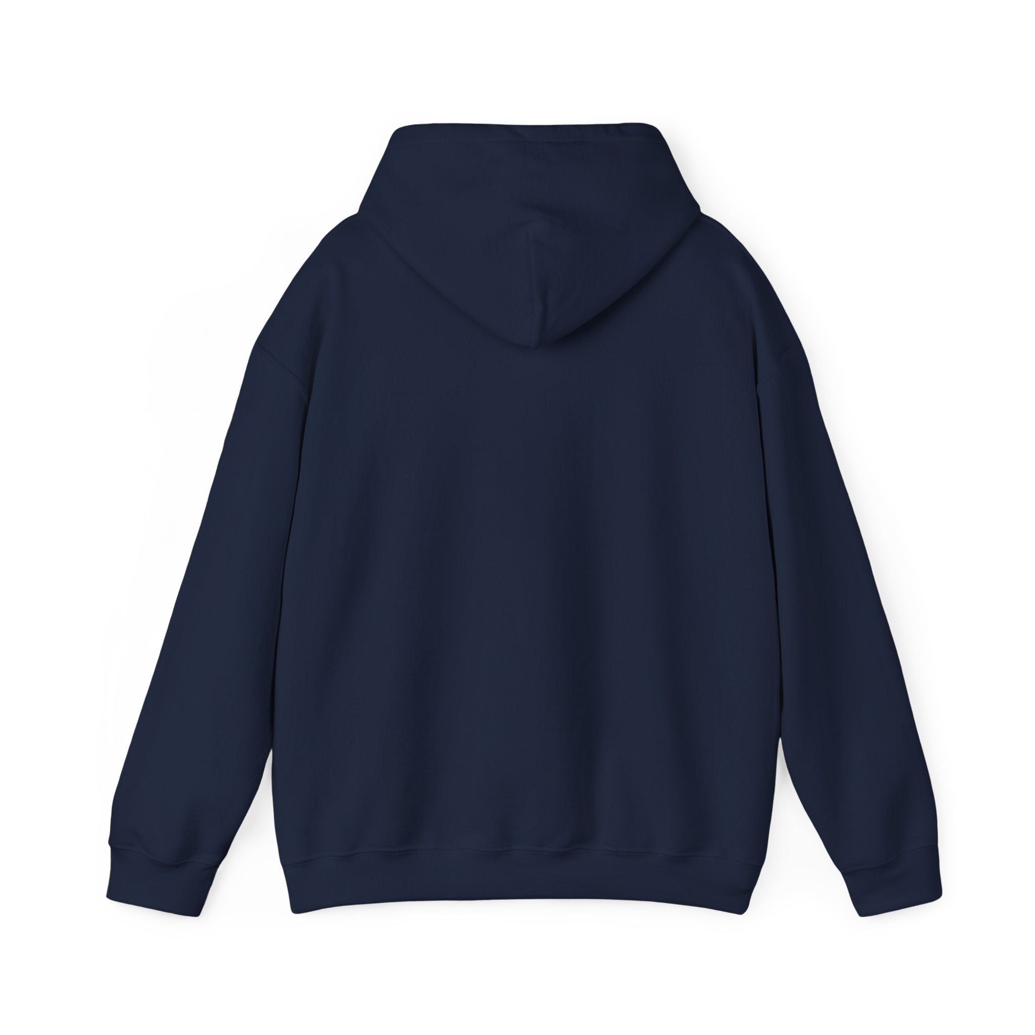 Cozy Feral Cat Hoodie | feral era, chaotic cute