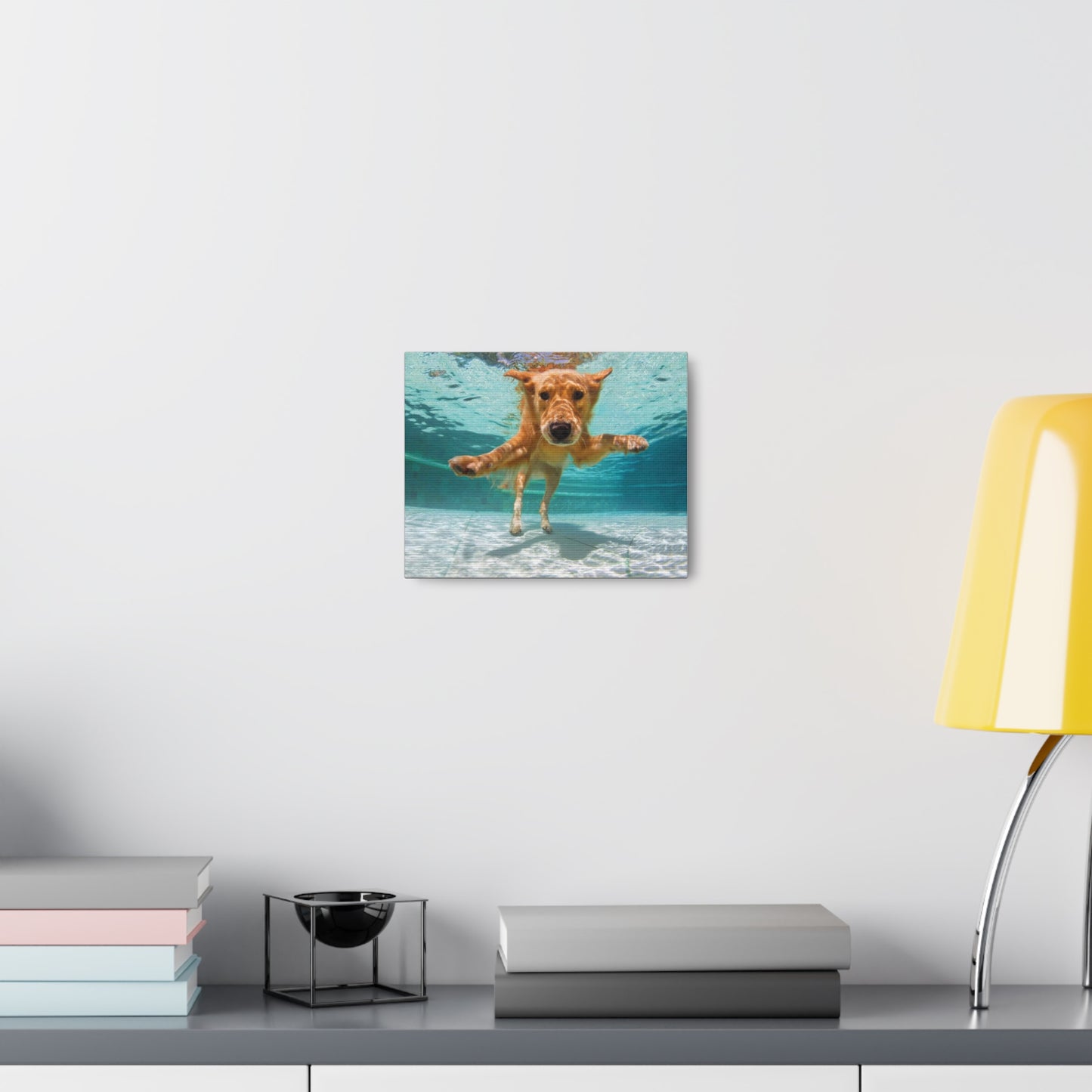 Labrador Canvas Gallery Wraps