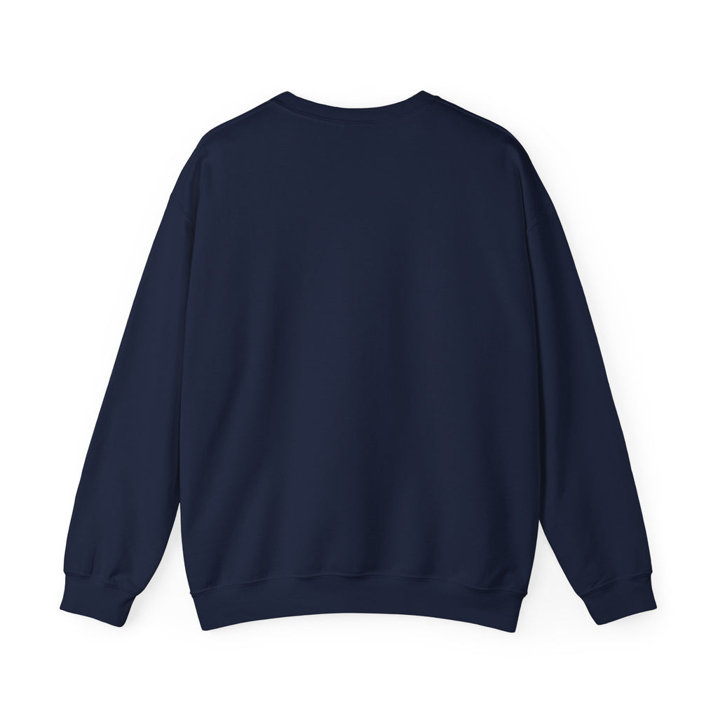 8647 Political Typography Crewneck, stencil distressed civic expression sweatshirt