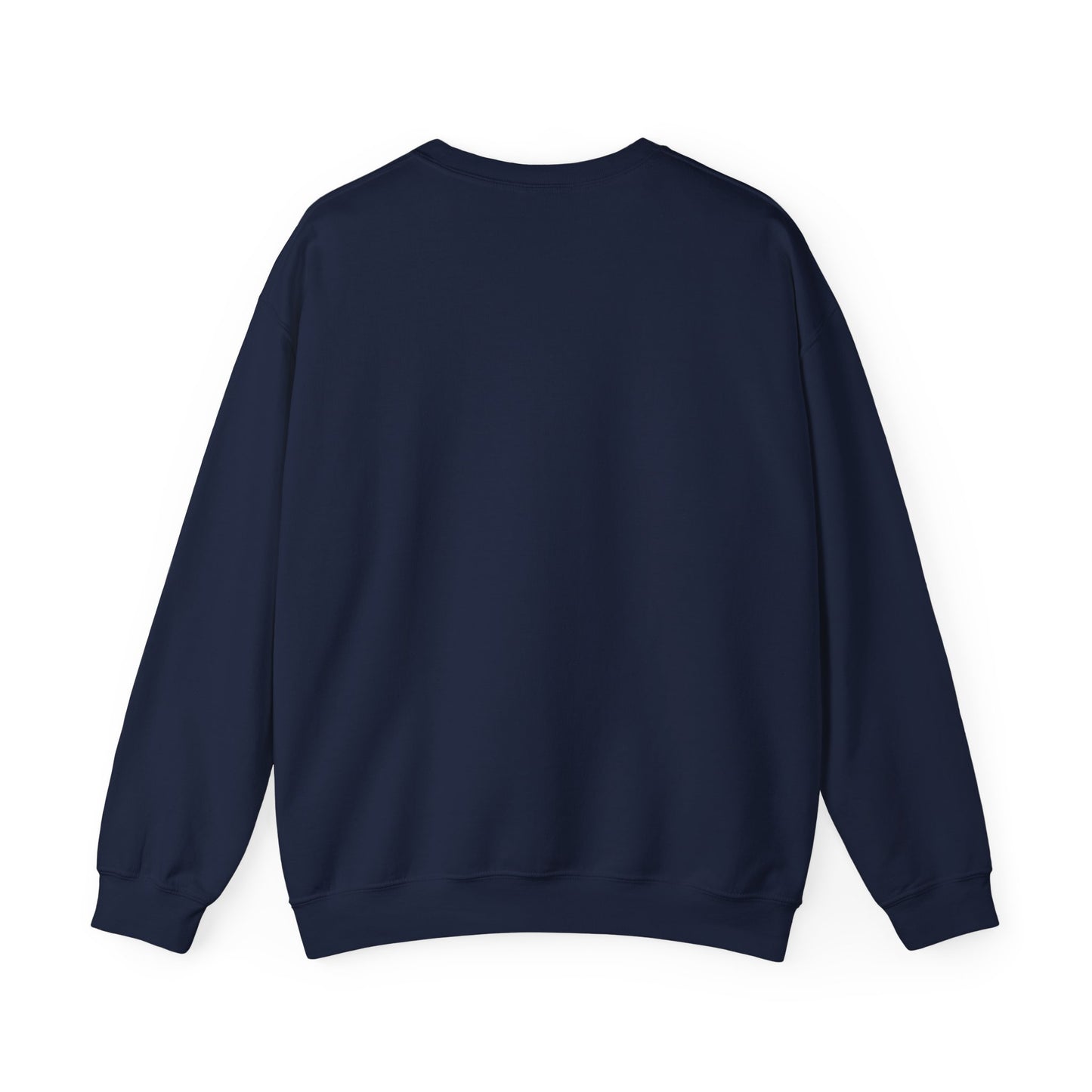 8647 Political Typography Crewneck, stencil distressed civic expression sweatshirt