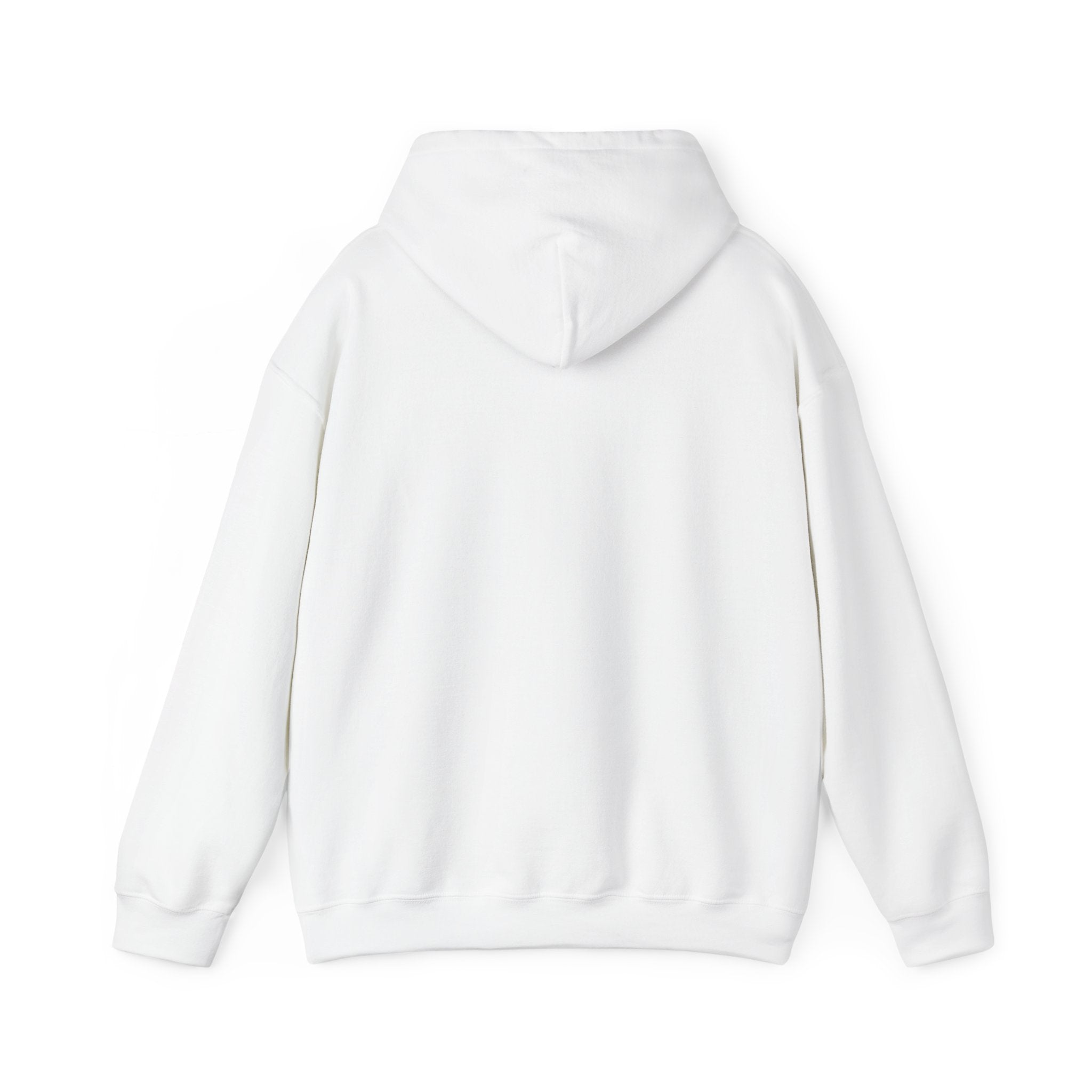 Cozy Feral Cat Hoodie | feral era, chaotic cute