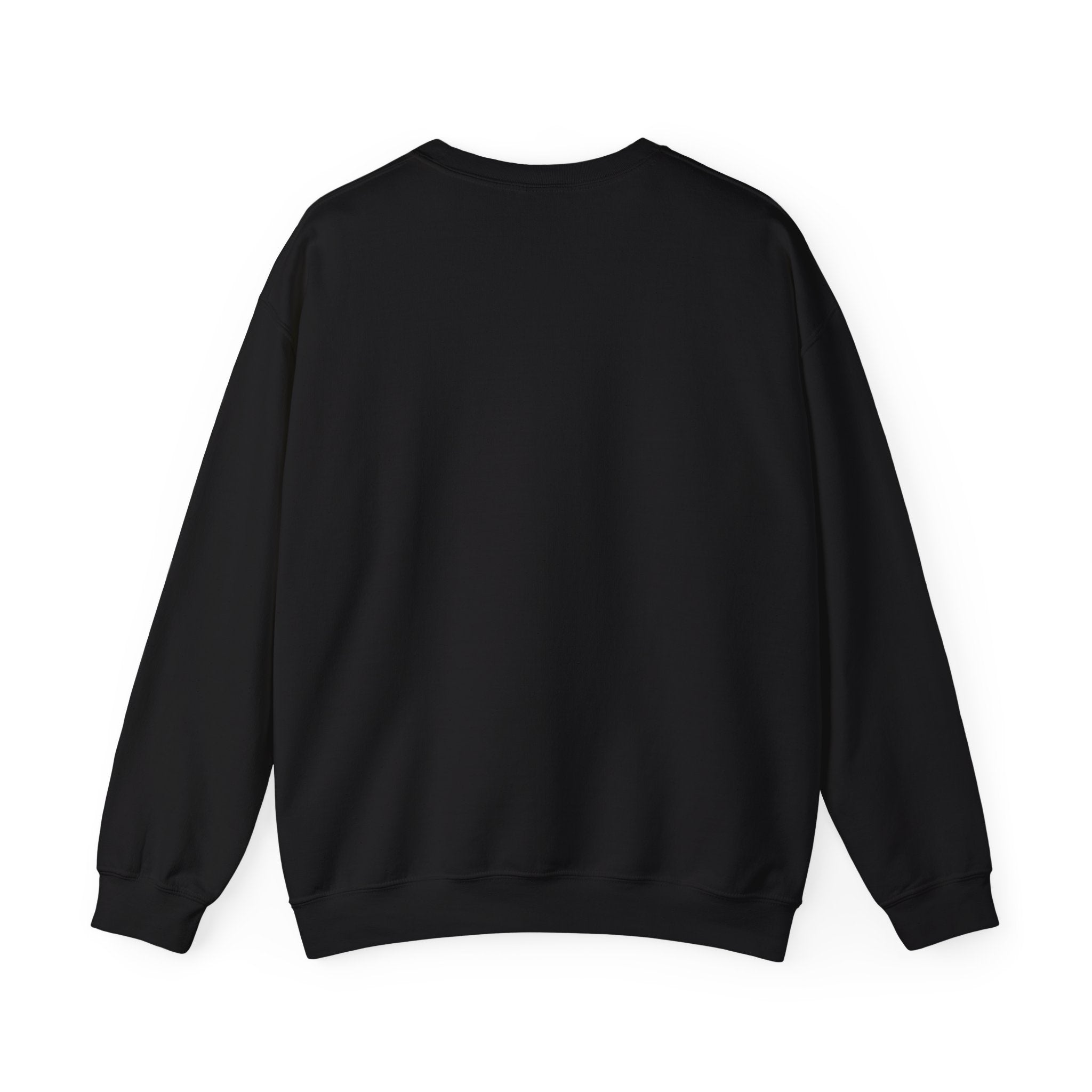 8647 Political Typography Crewneck, stencil distressed civic expression sweatshirt