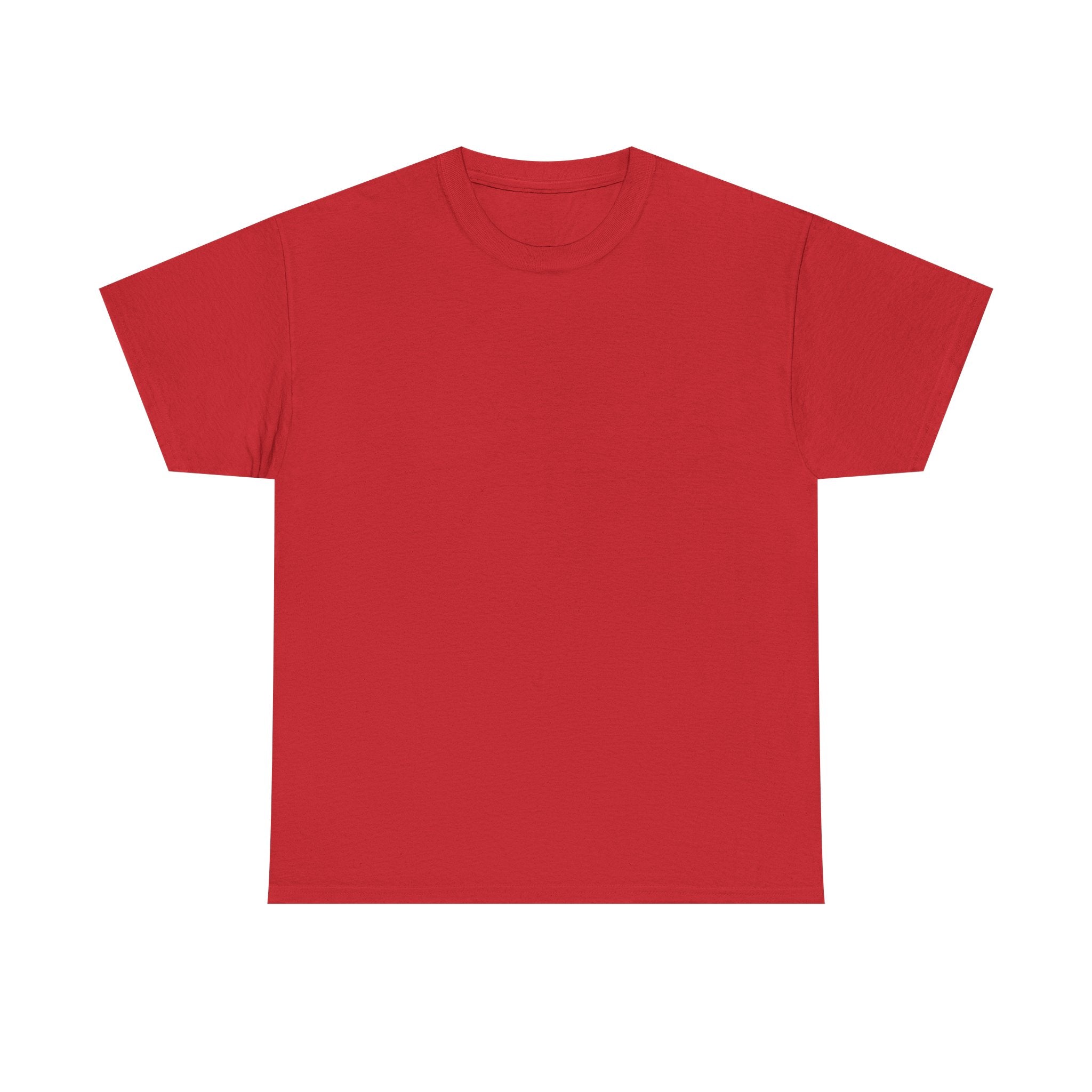 Insecurity Graphic Tee — Bold Back Print Statement Shirt