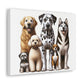 Popular Dog Breeds Canvas Gallery Wraps