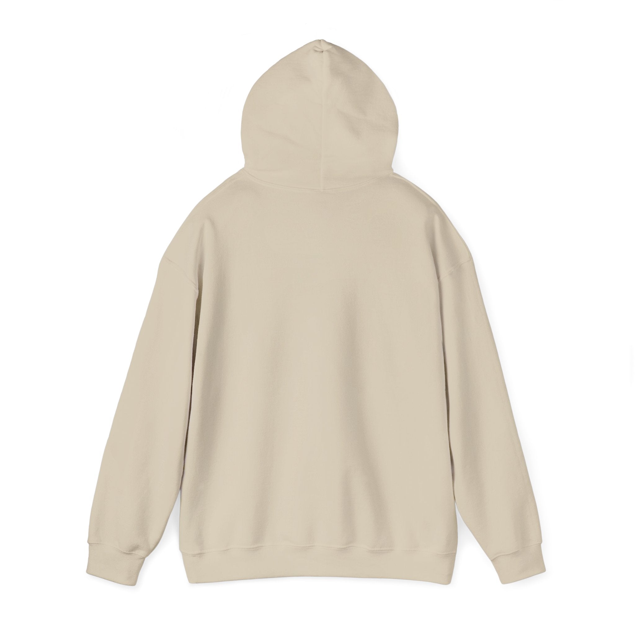 Cozy Feral Cat Hoodie | feral era, chaotic cute